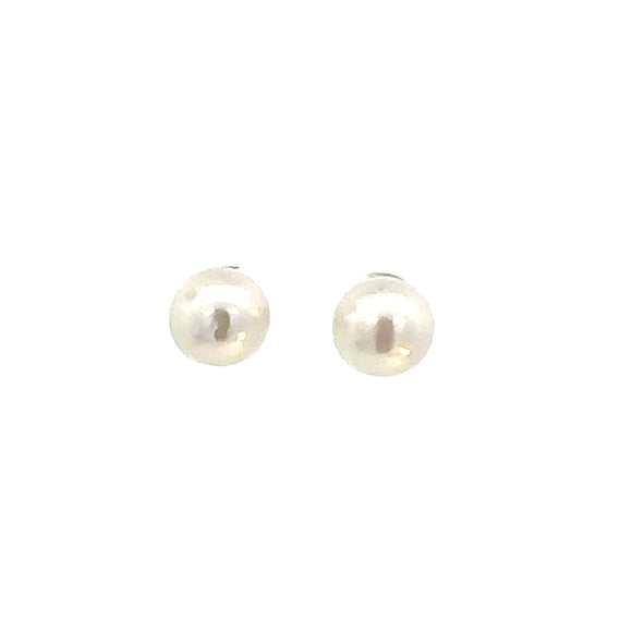South Sea Pearl Studs In 9ct White Gold