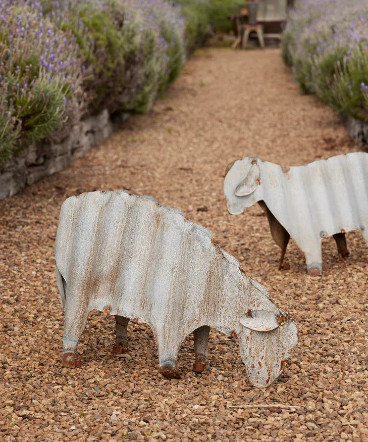 Tin Sheep Looking Down – Jems of Remuera