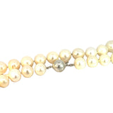 Freshwater Pearl Necklace