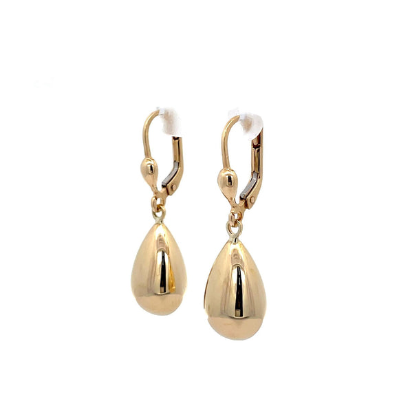 Oval Drop Earrings