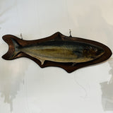 Large Taxidermy Kingfish