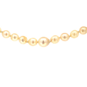 Graduated Cultured Pearl Necklace with 14ct Gold Clasp