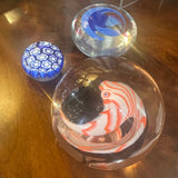 Scarlet Macaw Paperweight