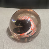 Scarlet Macaw Paperweight