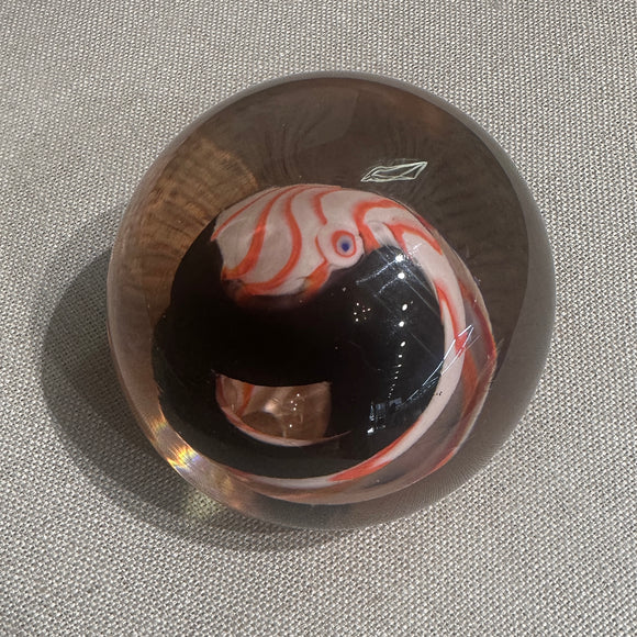 Scarlet Macaw Paperweight