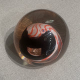 Scarlet Macaw Paperweight