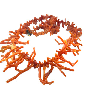 Spider Coral Graduating Necklace