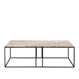 Marble Rectangular Coffee Table