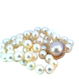 Cultured Pearl Necklace - 38cm