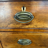 Antique Regency Flame Mahogany Chest