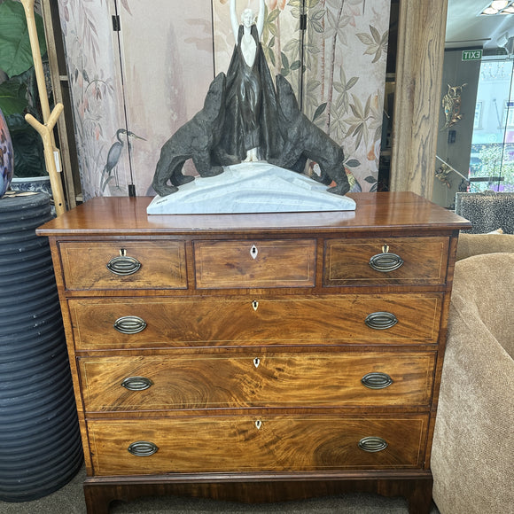 Antique Regency Flame Mahogany Chest