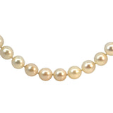 Akoya Cultured Pearl Necklace -80cm