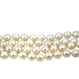 Akoya Cultured Pearl Necklace -80cm