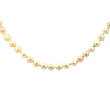 Cultured Pearl Necklace  65cm