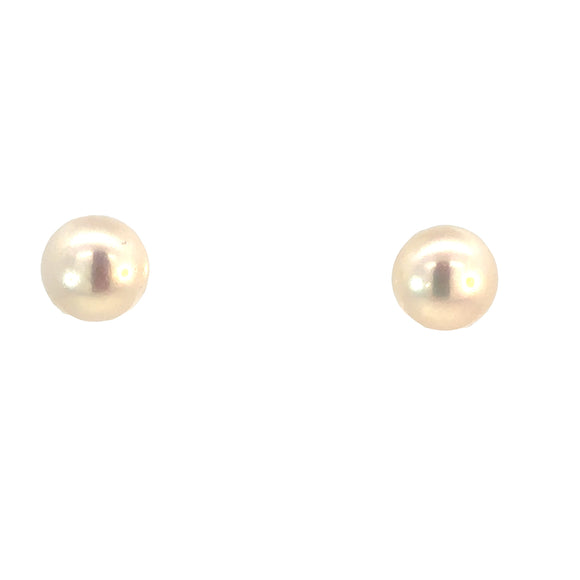 Large Button Freshwater Pearl Studs - 11mm
