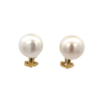 Pearl Clip on Earrings 10mm