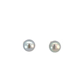 Silver Freshwater Pearl Stud Earrings