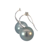 Autore South Sea Pearl Drop Earrings on Hooks