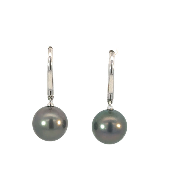 Autore Tahitian Pearl Drop Earrings on Hooks