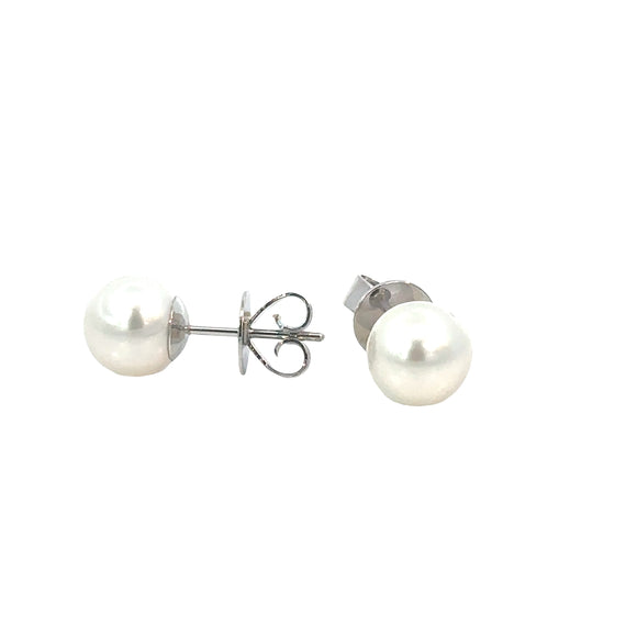 Autore South Sea Pearl Stud Earrings on 9ct White Gold