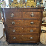 Victoria Chest in Mahogany