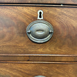 Victoria Chest in Mahogany