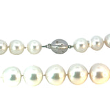 Autore South Sea Pearl Graduated Necklace