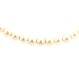 Mikimoto Cultured Pearl Necklace - 6.5mm