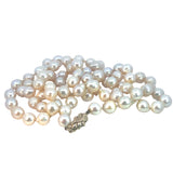 Cream Toned Cultured Pearls  - 88cm