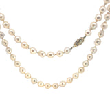 Cream Toned Cultured Pearls  - 88cm