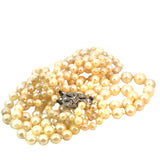 Double Strand Cultured Pearl Necklace
