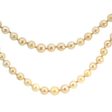 Double Strand Cultured Pearl Necklace