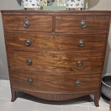 Antique Bow Front Chest in Mahogany