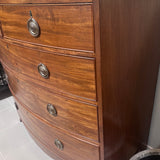 Antique Bow Front Chest in Mahogany