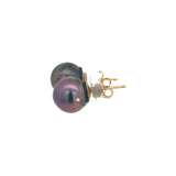 Tahitian Pearl Stud Earrings - 9-9.5mm