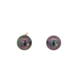 Tahitian Pearl Stud Earrings - 9-9.5mm