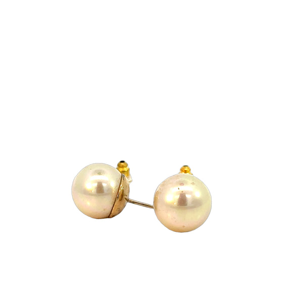 Large Golden Simulated Pearl Stud Earrings