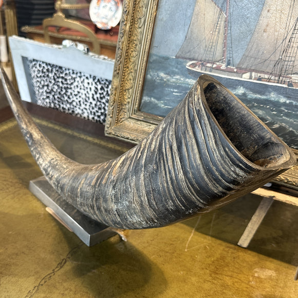 Large Horn Mounted on Stainless Steel Base