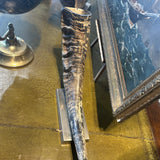 Large Horn Mounted on Stainless Steel Base