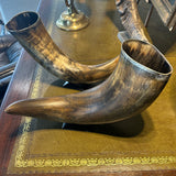 Large Horn Mounted on Black Base