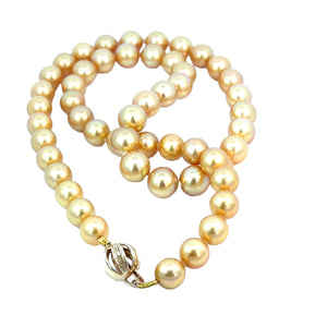 Golden South Sea Pearl Necklace - 8.0-8.5mm