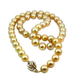 Golden South Sea Pearl Necklace - 8.0-8.5mm