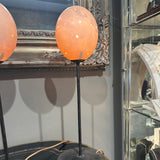 Ostrich Egg Lamp