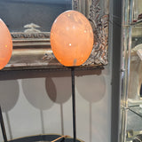 Ostrich Egg Lamp