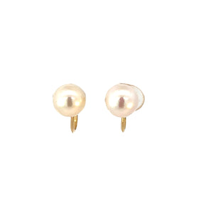 Akoya Screw On Earrings in 18ct Yellow Gold