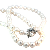 Akoya Cultured Pearl Necklace