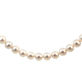 Akoya Cultured Pearl Necklace