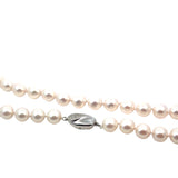 Akoya Cultured Pearl Necklace in Stirling Silver