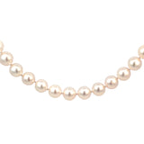 Akoya Cultured Pearl Necklace in Stirling Silver