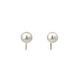 Grey Akoya Round Pearl Screw On Earrings